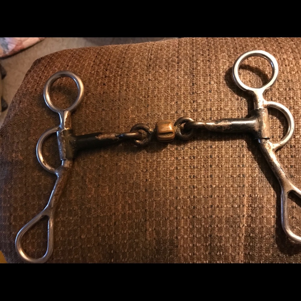 Reinsman jr cow horse bit.